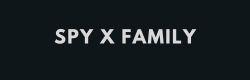 SPY X FAMILY - Ginga Toys