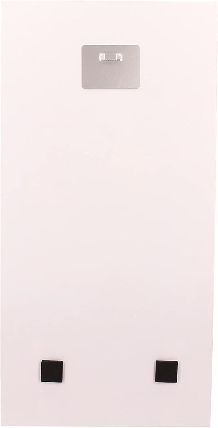 DC Comics The Dark Knight Returns Batman and Robin Glass Poster - Ginga Toys