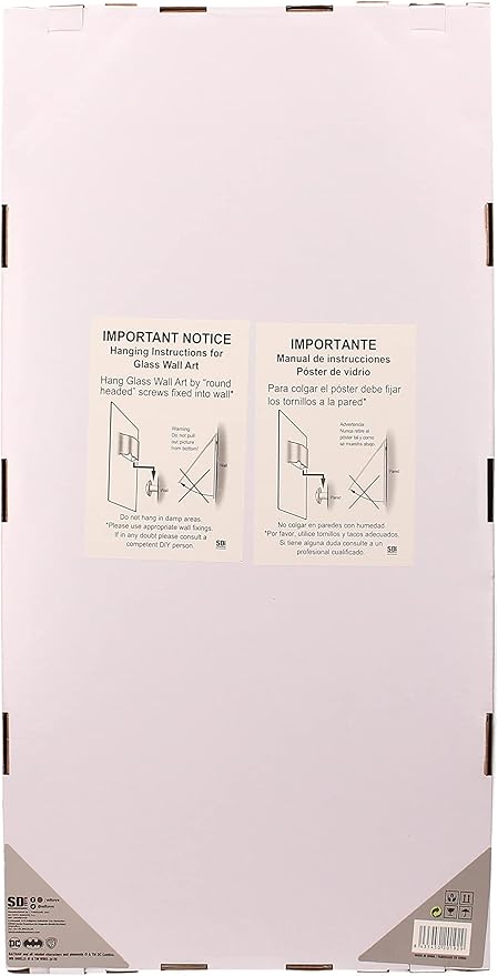 DC Comics The Dark Knight Returns Batman and Robin Glass Poster - Ginga Toys