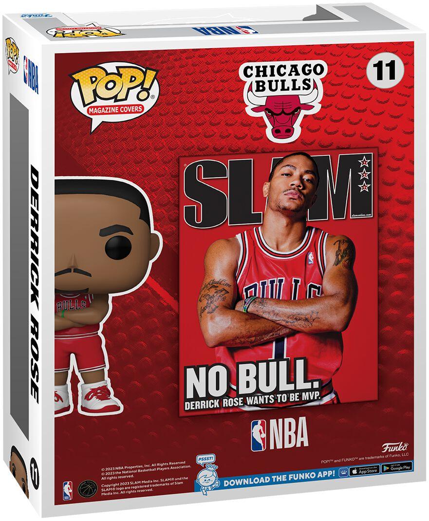 Chicago Bulls: Reviewing Pooh: The Derrick Rose Story