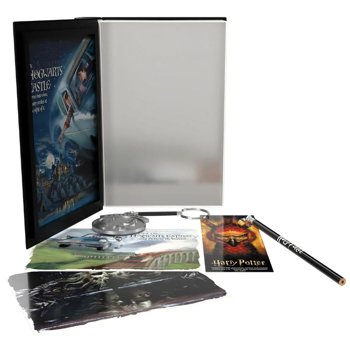 Harry Potter and the Chamber of Secrets Metallic Collector Box - Ginga Toys