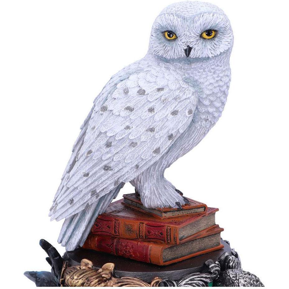 Harry Potter Hedwig Owl Polyresin Figure - Nemesis Now - Ginga Toys
