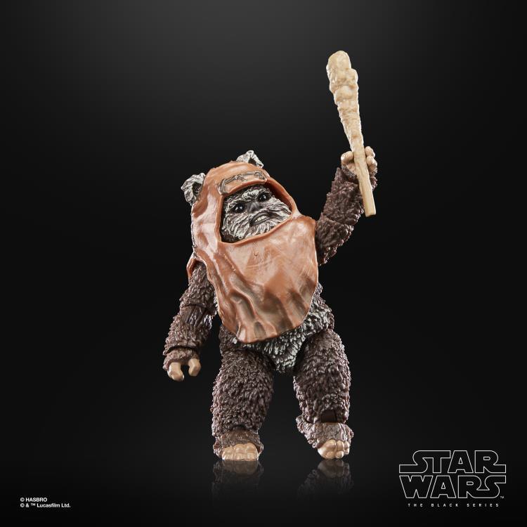 Star Wars 40th Anniversary The Black Series 6" Wicket Action Figure (Return of the Jedi) - Hasbro - Ginga Toys