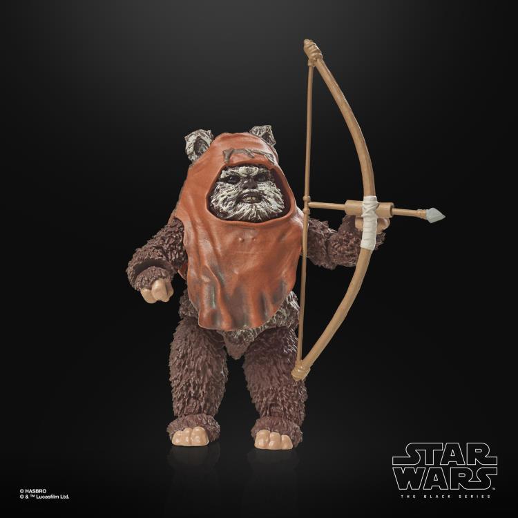 Star Wars 40th Anniversary The Black Series 6" Wicket Action Figure (Return of the Jedi) - Hasbro - Ginga Toys