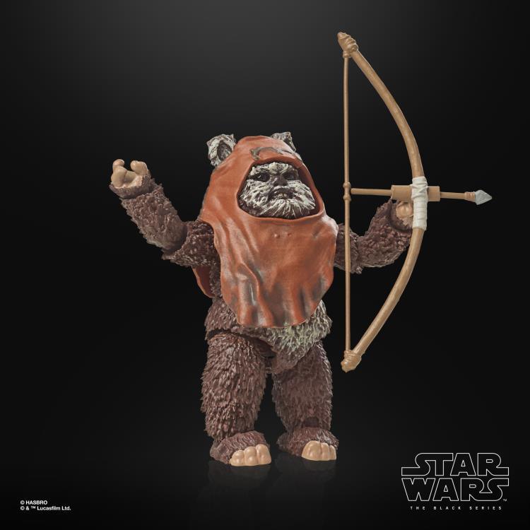 Star Wars 40th Anniversary The Black Series 6" Wicket Action Figure (Return of the Jedi) - Hasbro - Ginga Toys